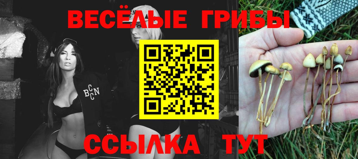 Галлюциногенные грибы Magic Shrooms  Вход с VPN  Псилоцибиновые грибы MAGIC MUSHROOMS  Верхняя Салда 