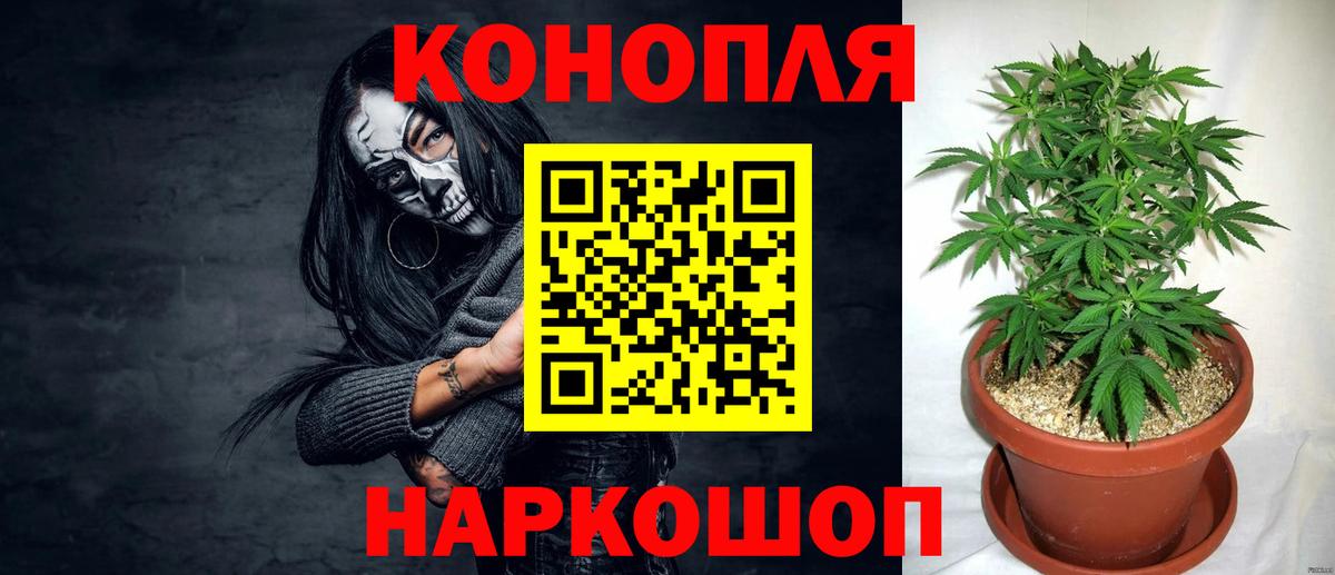 Каннабис White Widow  Марихуана OG Kush  Верхняя Салда  Вход с VPN  МАРИХУАНА SATIVA & INDICA 